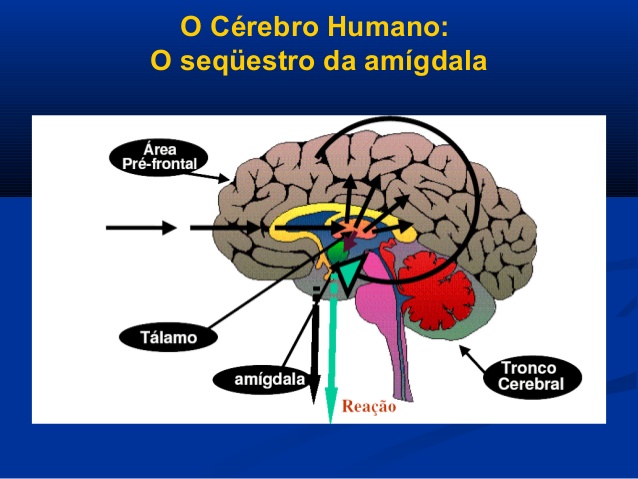 desenvolvendo-inteligncia-emocional-11-638